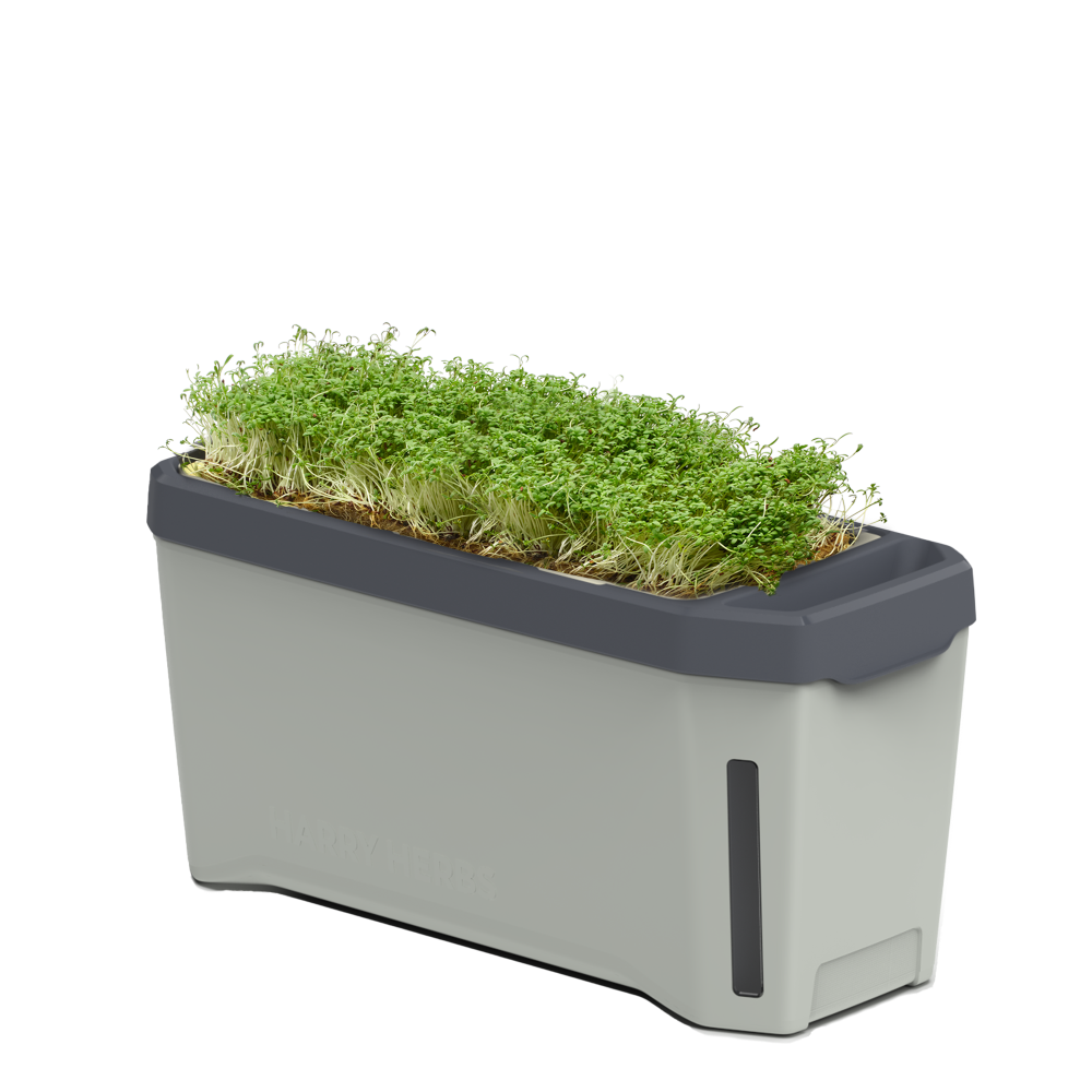 Samozavlažovací kvetináč na mikrozeleninu1